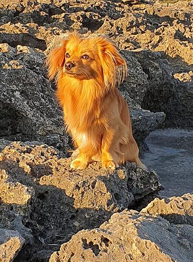 Charlie