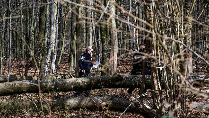 Durch einen umgestürzten Baum sind bei Flensburg drei Menschen ums Leben gekommen. Durch einen umgestürzten Baum sind bei Flensburg drei Menschen ums Leben gekommen.