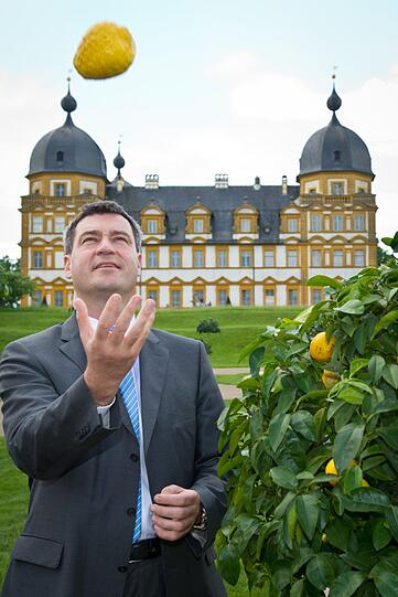 Söder mit Zitrusfrucht (auf Schloss Seehof).