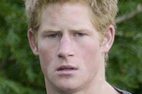 Die britischen Royals