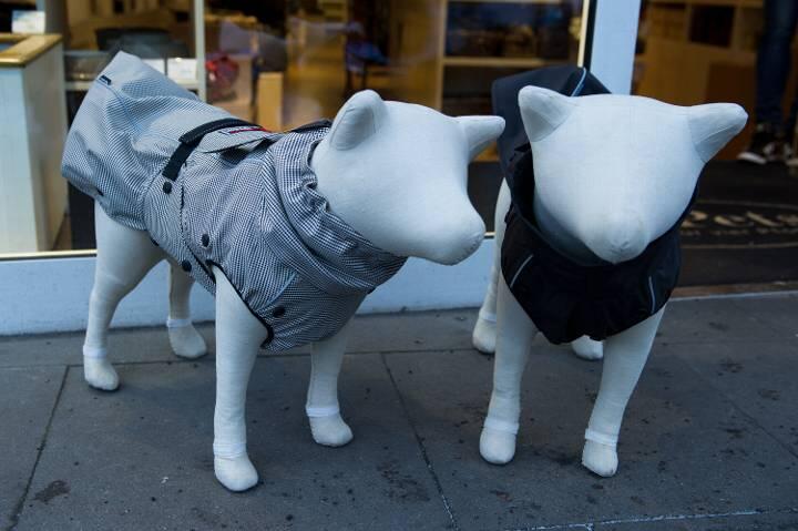 In den einschlägigen Boutiquen gibt es sogar Schaufenster-Puppen für die Kleidung der Zamperl