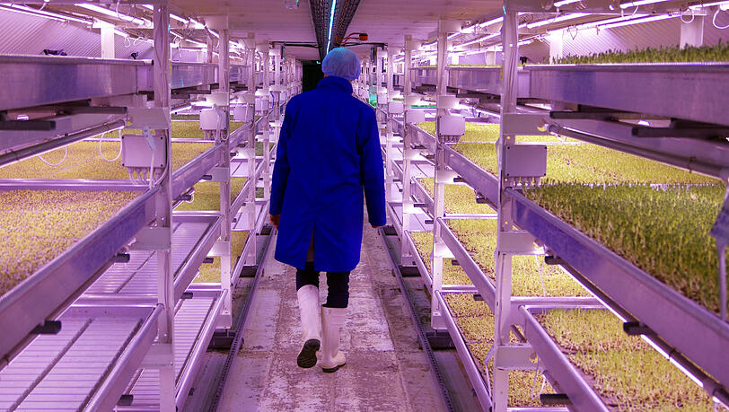 So schaut Vertical Farming, also vertikales Gärtnern aus. Hier ein Beispiel aus Großbritannien. Flächen werden so gespart, aber noch ist es sehr energieintensiv. So schaut Vertical Farming, also vertikales Gärtnern aus. Hier ein Beispiel aus Großbritannien. Flächen werden so gespart, aber noch ist es sehr energieintensiv.
