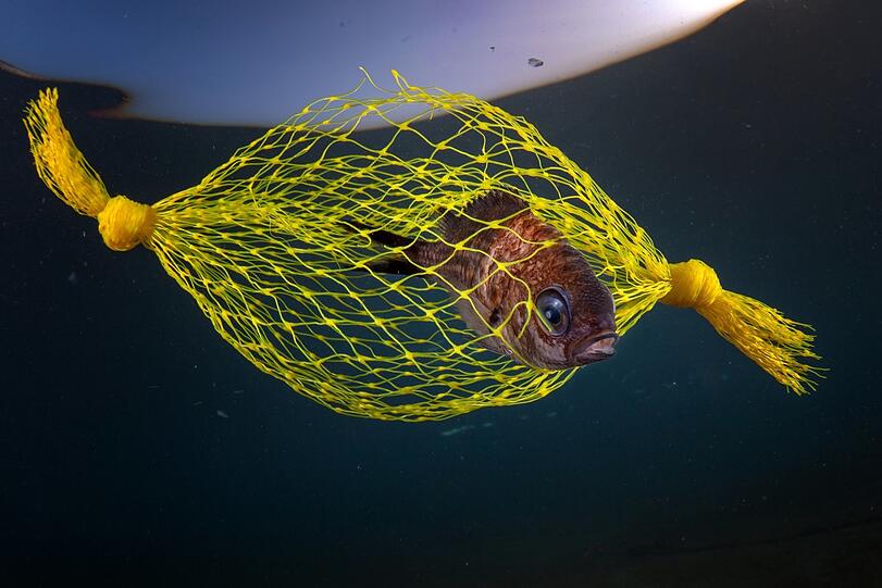 Marine Conservation, Platz 2: Dieses Netz (in Italien) schaut aus wie ein Bonbon, soll aber Fische in die Falle locken.v