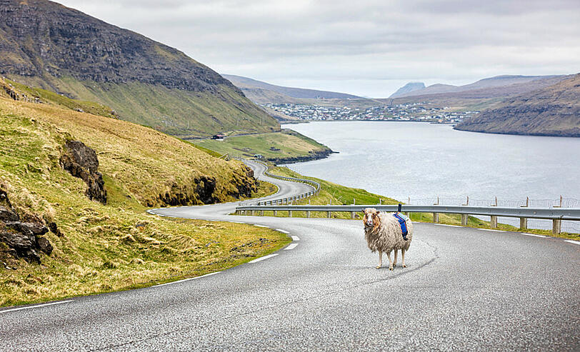 "Sheep View" auf den Färöer Inseln soll möglichst bald von Google Street View abgelöst werden