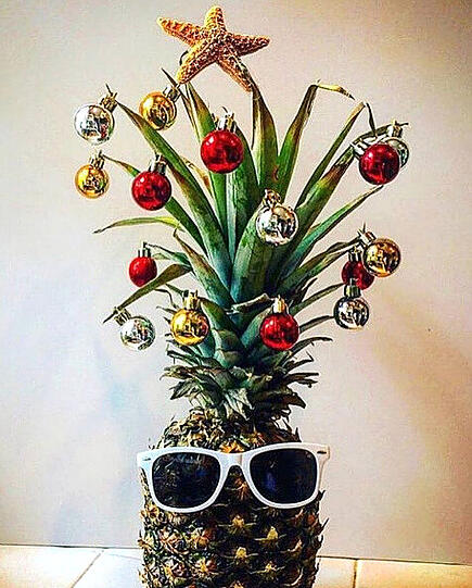 "Oh Ananas, oh Ananas, wie schön sind deine Blätter..." - Die schönsten, wildesten und süßesten Ideen, wie Sie ihre Ananas weihnachtlich dekorieren können, finden Sie in unserer Bildergalerie.