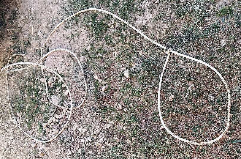 Mit diesem Stromkabel sollte die trächtige Kuh entführt werden.
