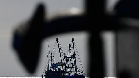 Fischer warten jährlich auf die EU-Entscheidungen zu erlaubten Fangmengen. (Symbolbild)