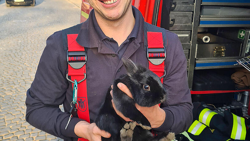 Ein Feuerwehrmann mit dem eingefangenen Kaninchen. Ein Feuerwehrmann mit dem eingefangenen Kaninchen.