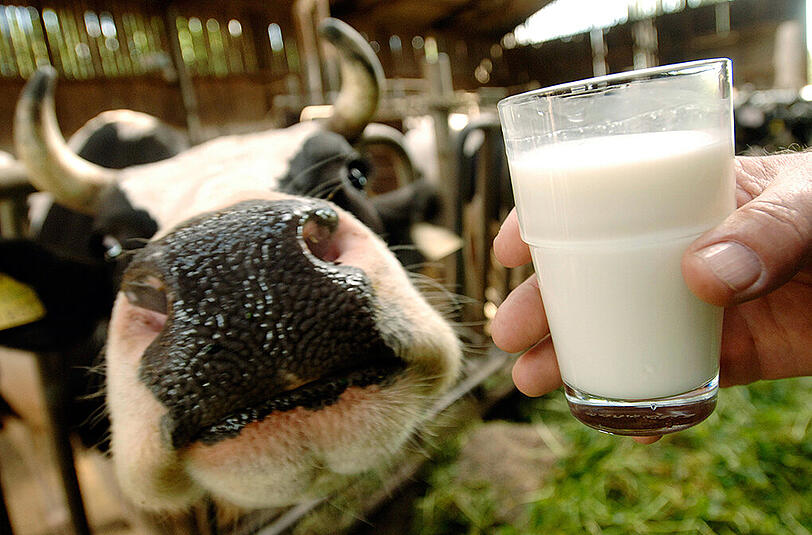 Die Milchproduktion wird in den nächsten Jahren weltweit wachsen.