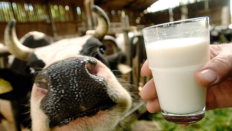 Die Milchproduktion wird in den nächsten Jahren weltweit wachsen. Die Milchproduktion wird in den nächsten Jahren weltweit wachsen.