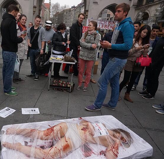 Die Bilder vom Nackt-Protest am Stachus.