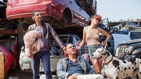 Initiator John Torturro, Bobby Cannavale als sein Kumpel und - sehr charmant - Audrey Tautou.