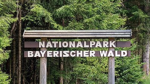 Ein Schild mit der Aufschrift "Nationalpark Bayerischer Wald" steht am Waldrand.