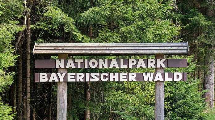 Ein Schild mit der Aufschrift "Nationalpark Bayerischer Wald" steht am Waldrand.