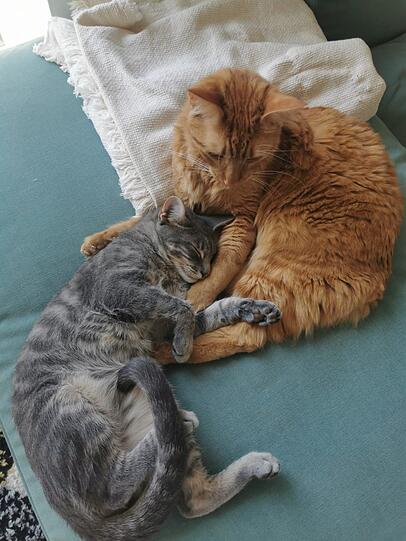 Luigi und Massimo