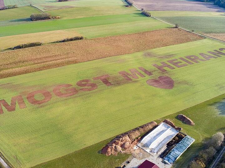 In überdiemensionalen Buchstaben steht in einem Feld "Mogst mi heiran?". Landwirt Florian Weiß aus der Oberpfalz hat seiner Freundin einen Heiratsantrag in ein Feld gesät.