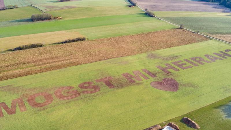 In überdiemensionalen Buchstaben steht in einem Feld "Mogst mi heiran?". Landwirt Florian Weiß aus der Oberpfalz hat seiner Freundin einen Heiratsantrag in ein Feld gesät. In überdiemensionalen Buchstaben steht in einem Feld "Mogst mi heiran?". Landwirt Florian Weiß aus der Oberpfalz hat seiner Freundin einen Heiratsantrag in ein Feld gesät.