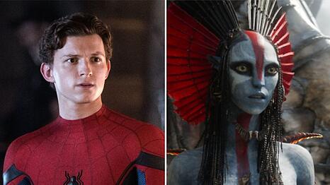 "Spider-Man" (l.) und "Avatar" sind Garanten f&uuml;r klingelnde Kinokassen.