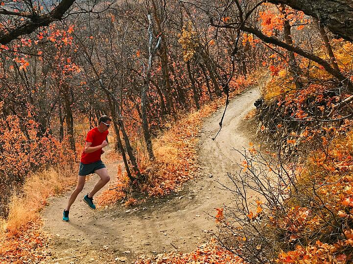 Wer es etwas sportlicher haben möchte, der sollte jetzt joggen gehen. Das frische Klima ist perfekt dafür. Und was gibt es schöneres, als das Rascheln der Laubblätter unter den Füßen zu hören? Wer es etwas sportlicher haben möchte, der sollte jetzt joggen gehen. Das frische Klima ist perfekt dafür. Und was gibt es schöneres, als das Rascheln der Laubblätter unter den Füßen zu hören?