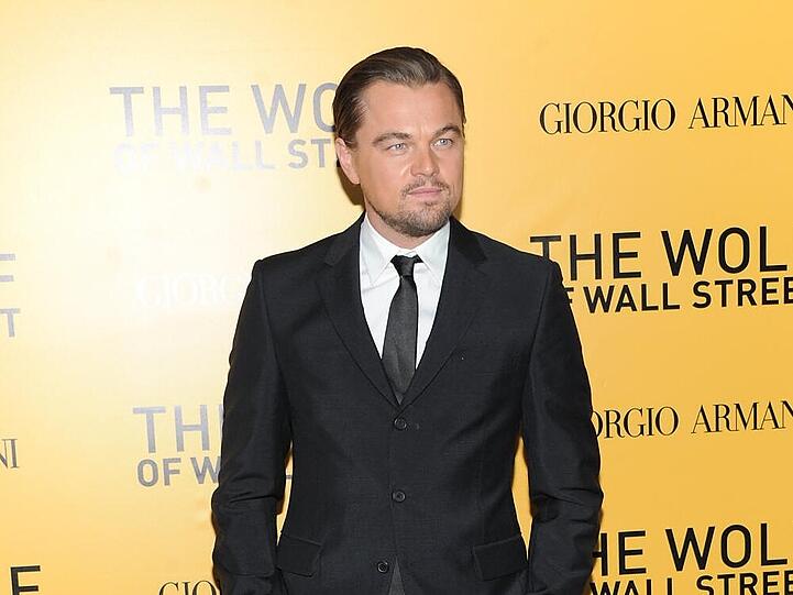 Leonardo DiCaprio ist passionierter Umweltschützer - trotz unliebsamer Begegnungen mit Haien