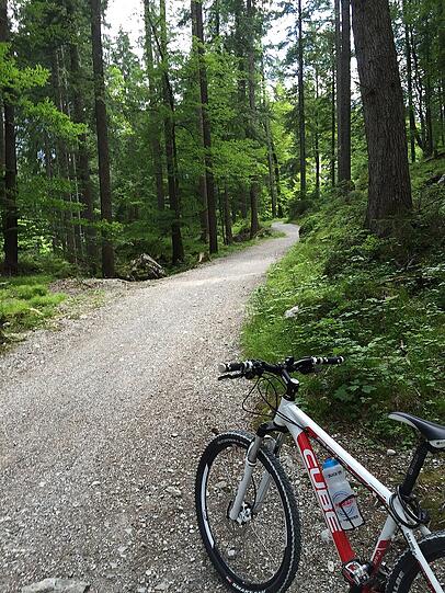 Eine traumhafte Tour mit dem MTB.