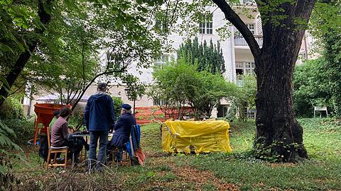 Früh um halb 8 am vergangenen Montag: Als ein Baumfällertrupp im grünen Hinterhof der Lindenschmitstraße 25 auftaucht, eilen die Bewohner nach draußen, stellen Tisch und Klappstühle auf und starten ein Guerilla-Frühstück. Bis die Baumfäller wieder abziehen – unverrichteter Dinge.