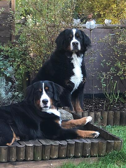 Thora und Harley