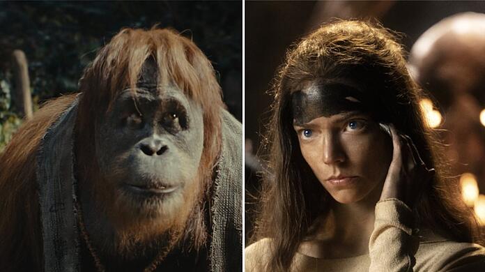 In "Planet der Affen 4" (l.) und "Furiosa: A Mad Max Saga" ist es nicht allzu gut um die menschliche Zivilisation bestellt.