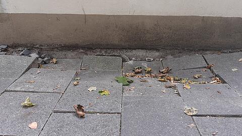 Der Gehweg an der Kidlerstraße sieben ist mehrere Zentimeter abgesenkt.