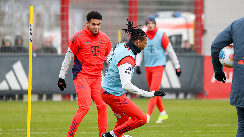 Die Fl&uuml;gelzange Olise und D&iacute;az hat den FC Bayern deutlich besser gemacht.