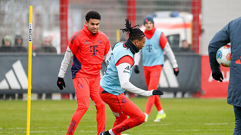 Die Fl&uuml;gelzange Olise und D&iacute;az hat den FC Bayern deutlich besser gemacht.