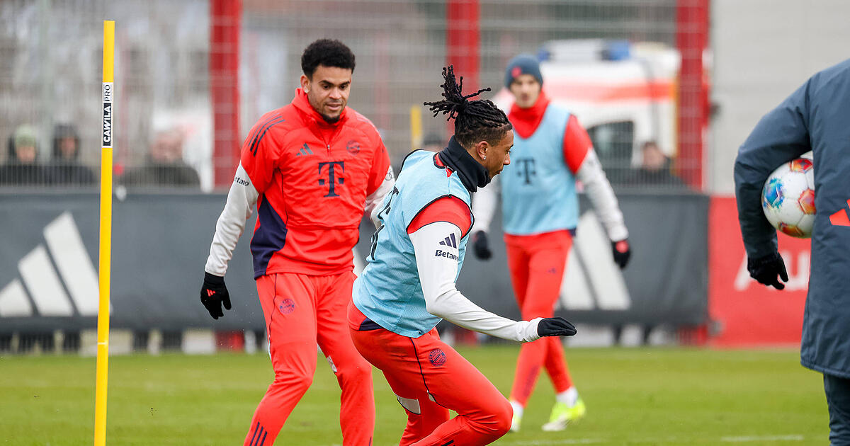 Beste-Fl-gelzange-Europas-Wie-Olis-az-San-und-Coman-komplett-in-den-Schatten-stellt