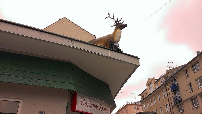 Wo dieser Hirsch röhrt, kreuzen sich Georgen- und Nordendstraße.