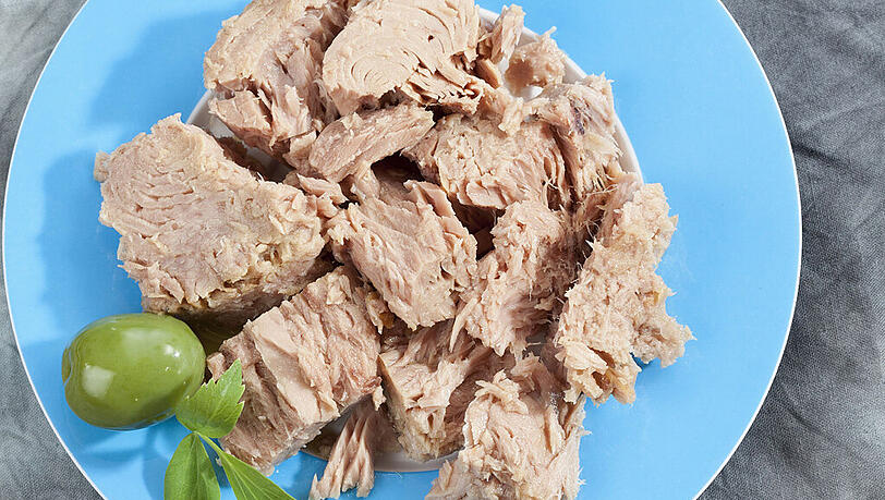 Thunfisch enthält mitunter viel Quecksilber Thunfisch enthält mitunter viel Quecksilber