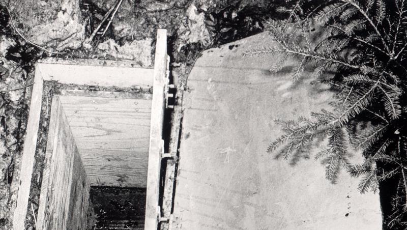 Das Archivfoto zeigt die in einem Waldstück bei Eching am Ammersee vergrabene Holzkiste, in der die Leiche der zehnjährige Ursula Herrmann im Oktober 1981 aufgefunden wurde. Das Archivfoto zeigt die in einem Waldstück bei Eching am Ammersee vergrabene Holzkiste, in der die Leiche der zehnjährige Ursula Herrmann im Oktober 1981 aufgefunden wurde.