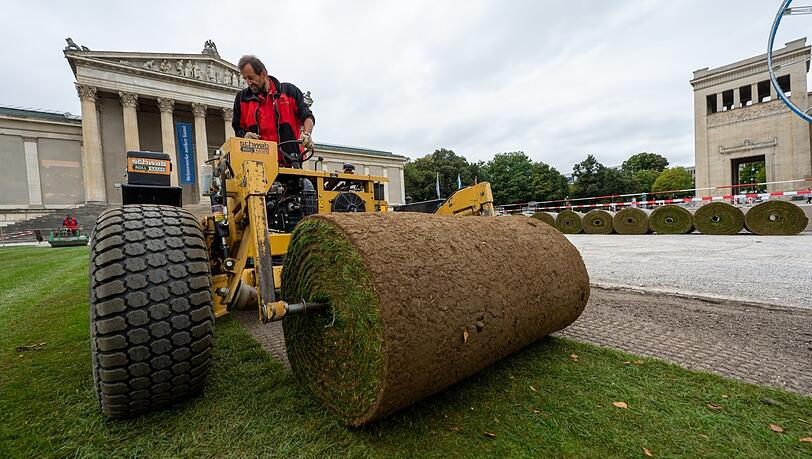 Nach der IAA 2021 erhielt der Königsplatz neuen Rasen. Bei Abbauarbeiten der IAA wurden die Grünfläche großteils zerstört. Nach der IAA 2021 erhielt der Königsplatz neuen Rasen. Bei Abbauarbeiten der IAA wurden die Grünfläche großteils zerstört.