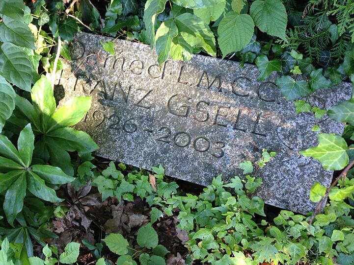 Verwahrlost, verwuchert: Das Grab von Franz Gsell (&dagger; 76).