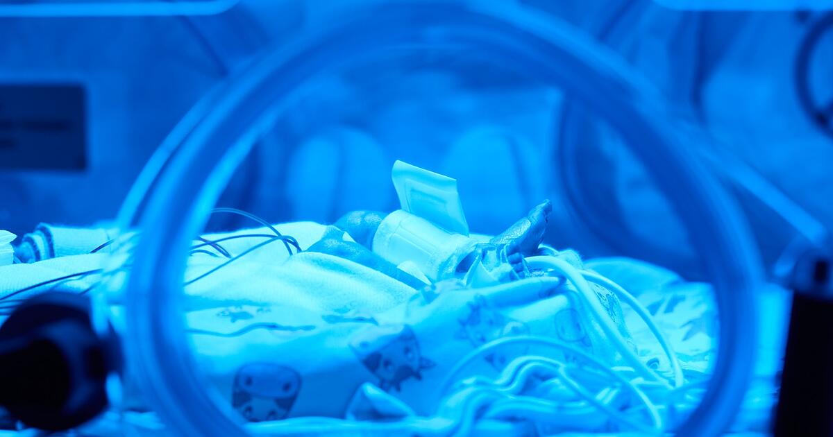 Hoffnung-f-r-Fr-hchen-KI-Modellprojekt-in-N-rnberg-startet