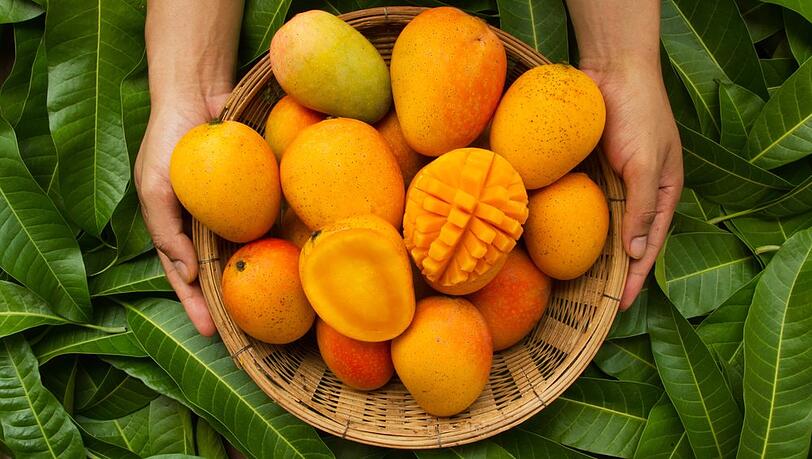 Weltweit gibt es mehr als 2.000 verschiedene Mangosorten.