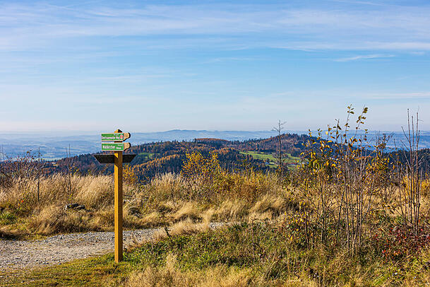 Der Fernwanderweg "Goldsteig" bietet zahlreiche M&ouml;glichkeiten zum Wandern.