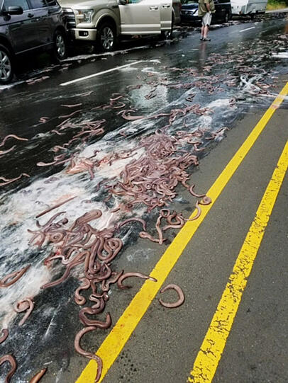 Glitschiger US-Highway gesperrt