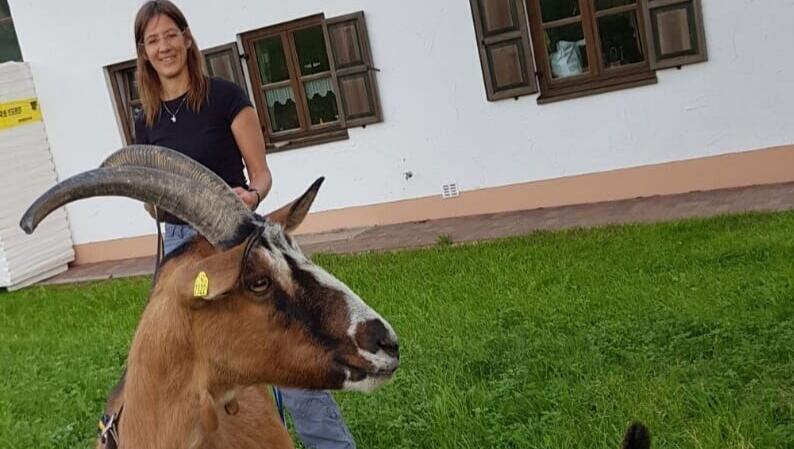 Tanja Hertel trainiert gerade mit zwei Ziegen - sie können weit gehen, wenn sie mögen.