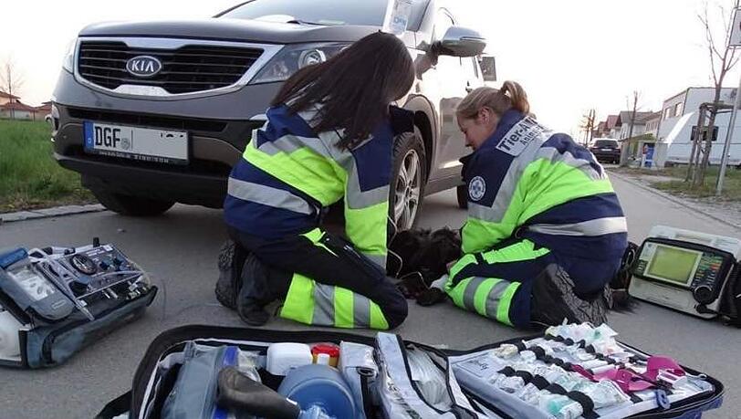 Die Tierrettung Niederbayern sucht im Landkreis Landshut nach Ehrenamtlichen, die sie bei der Versorgung von kranken oder verletzten Tieren unterstützen.