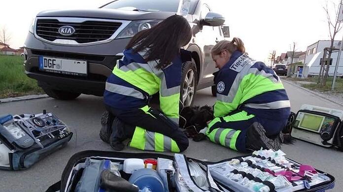 Die Tierrettung Niederbayern sucht im Landkreis Landshut nach Ehrenamtlichen, die sie bei der Versorgung von kranken oder verletzten Tieren unterstützen.