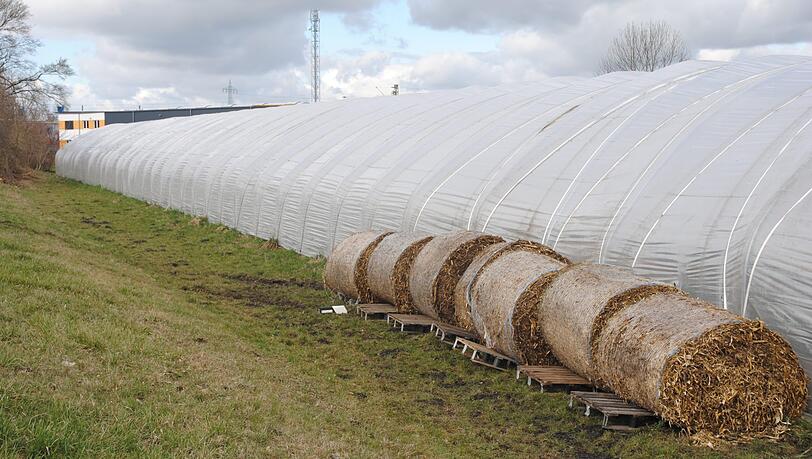 Alles wieder dicht: Die Mitarbeiter der Firma "Plantage Altheim" haben bereits geflickt, was geht. Alles wieder dicht: Die Mitarbeiter der Firma "Plantage Altheim" haben bereits geflickt, was geht.