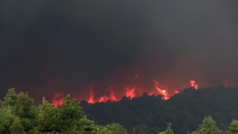 Nach wochenlanger Dürre sind in Griechenland zahlreiche Waldbrände ausgebrochen. Nach wochenlanger Dürre sind in Griechenland zahlreiche Waldbrände ausgebrochen.