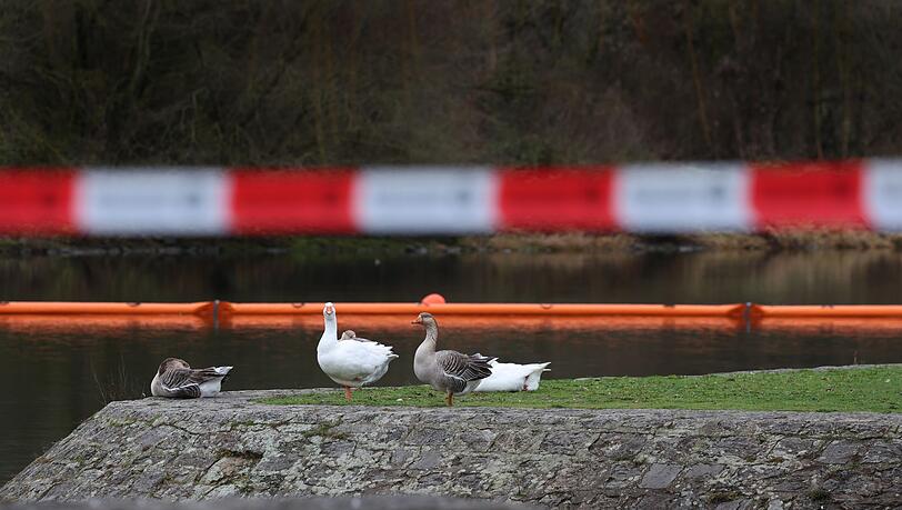 Ölsperren sollen verhindern, dass sich der Kraftstoff weiter ausbreitet.