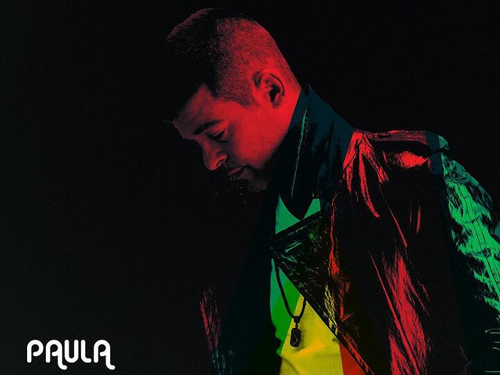 Das neue Album "Paula" von Robin Thicke