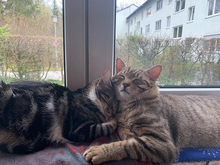 Chelsea und Charlie