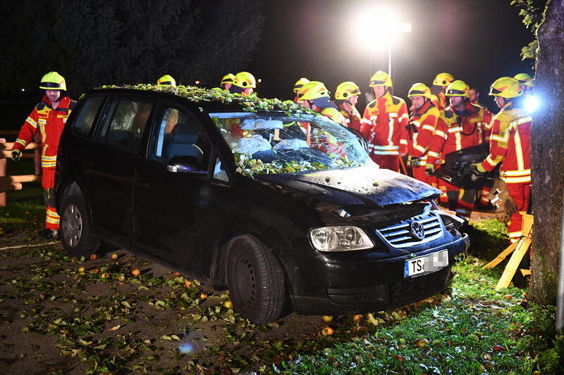 Der junge Autofahrer kam von der Straße ab und prallte gegen eine Baum.